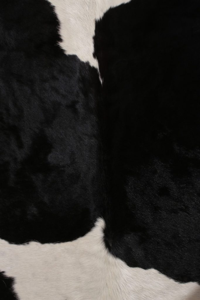 23860 6 10x7 6 5