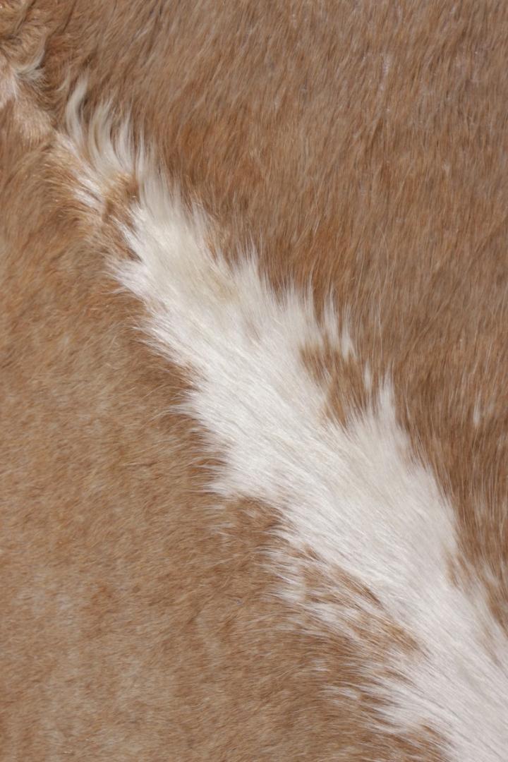 23862 6 10x7 9 5