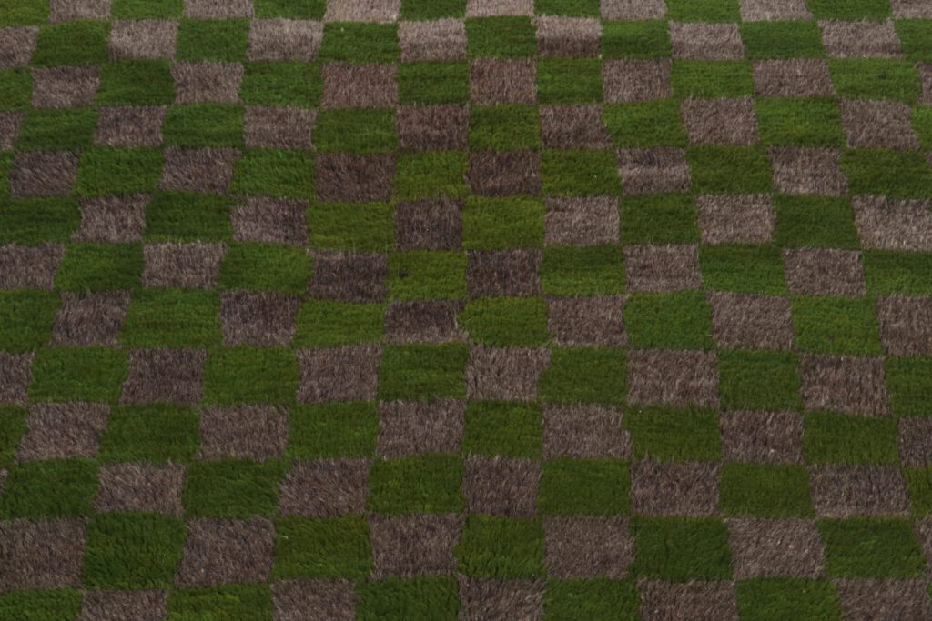 24687 3 11x5 8 6
