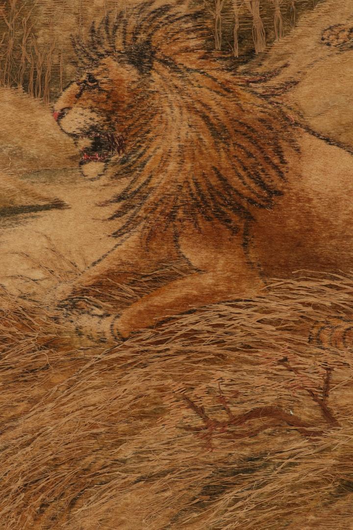 25402 30x50 6