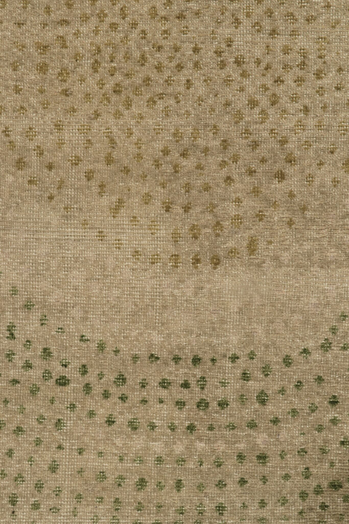 25510 3 0x9 11 6
