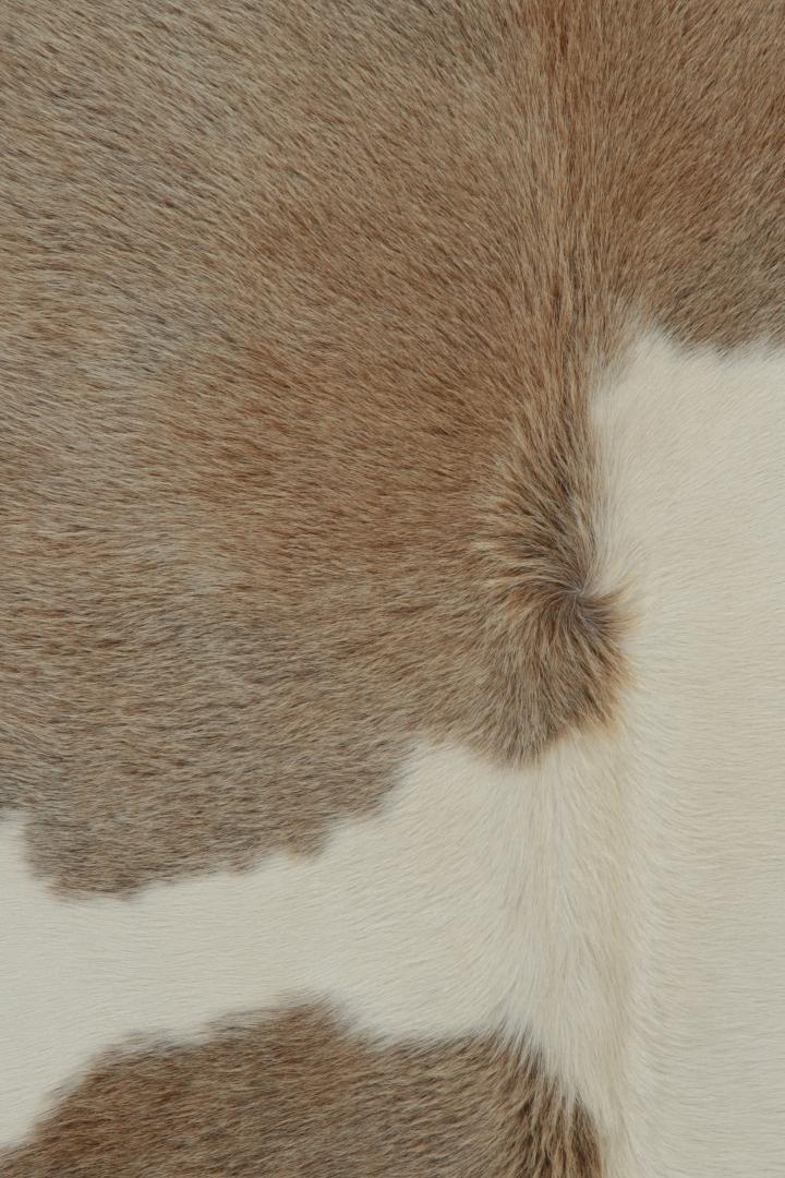 25390 75x77 6