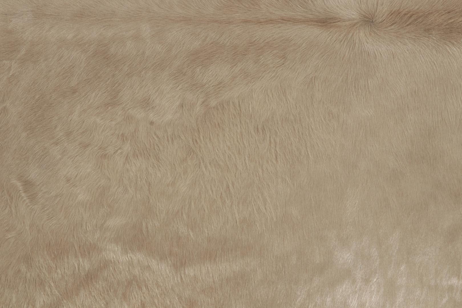 25392 610x7 6