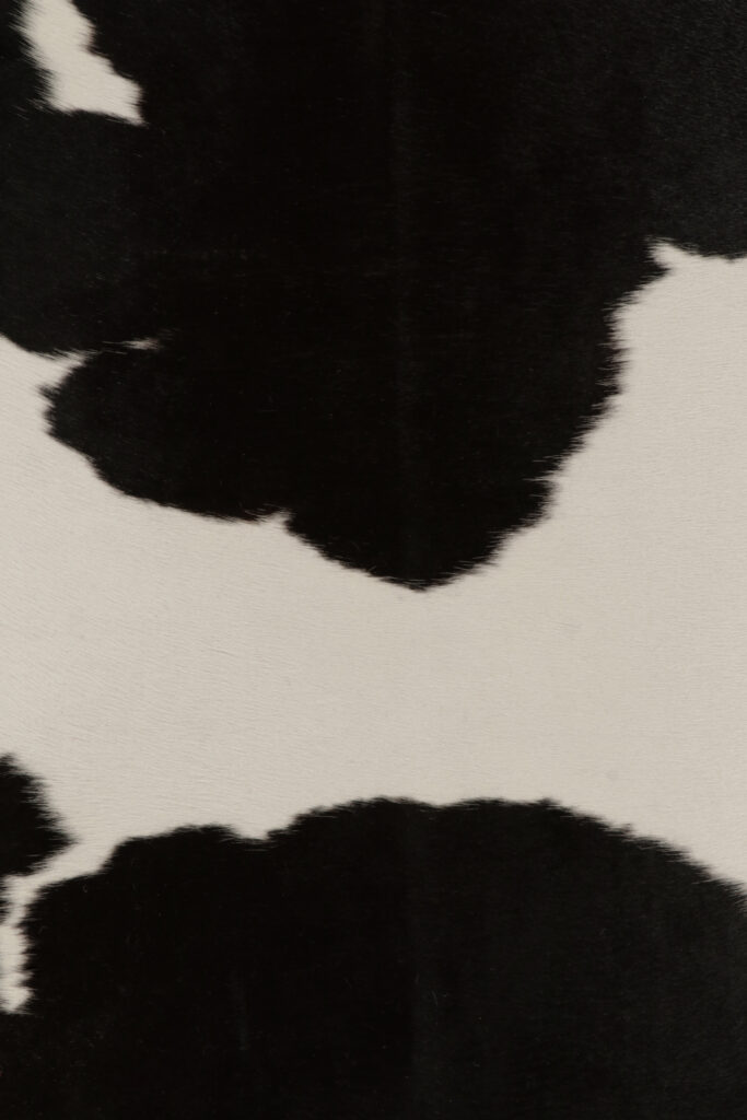 25394 74x88 6