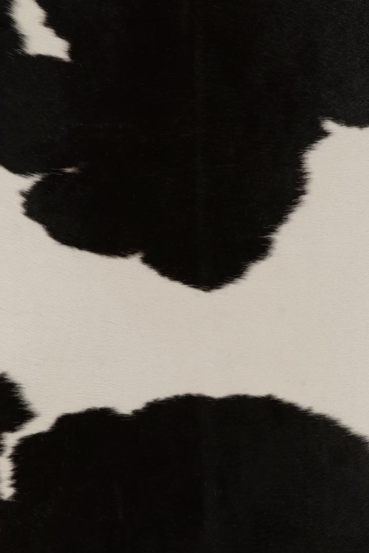 25394 74x88 6