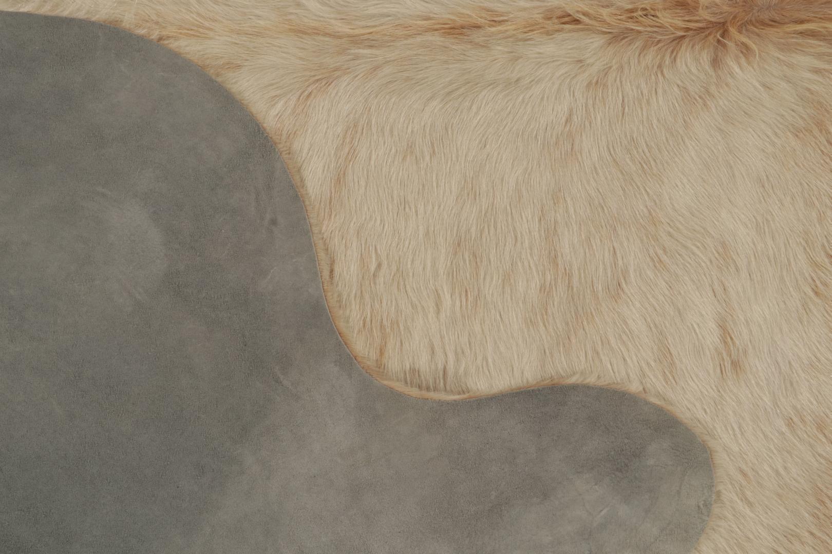 25395 66x710 6 1