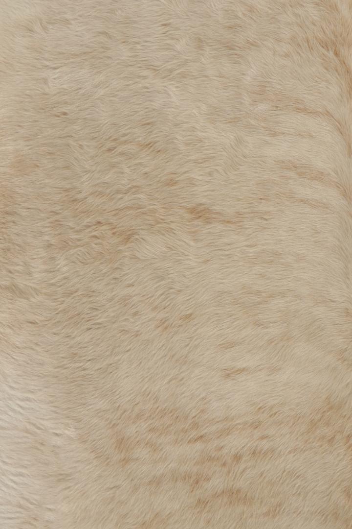 25395 66x710 6