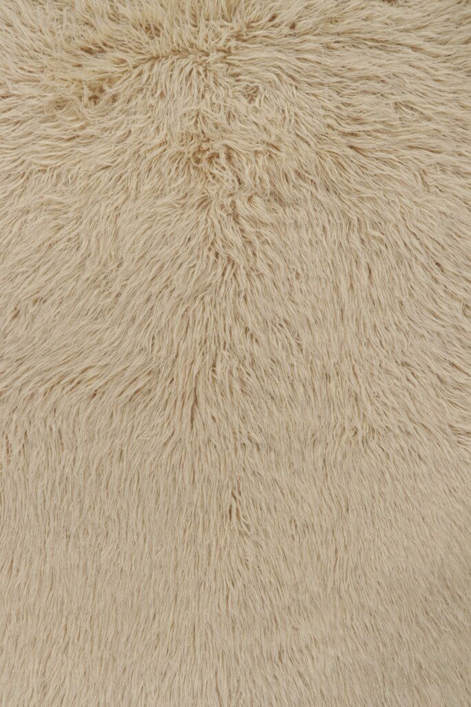 26342 48x64 6