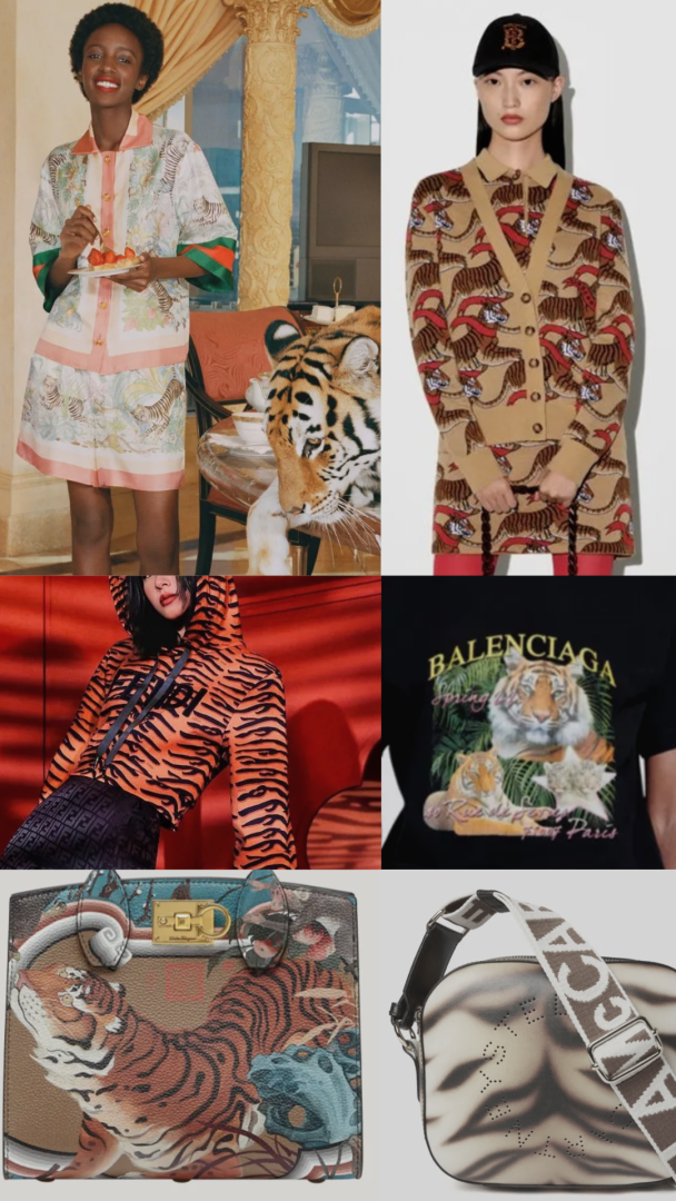 Tigers in Fashion 2022