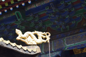 Rug & Kilim in China (9)
