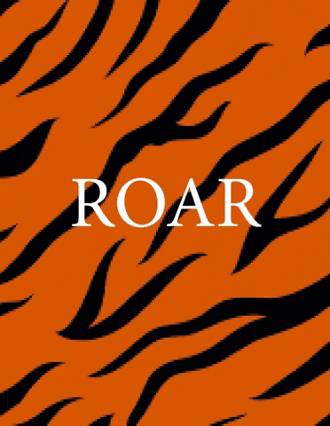 Tiger Rug Blog GIF
