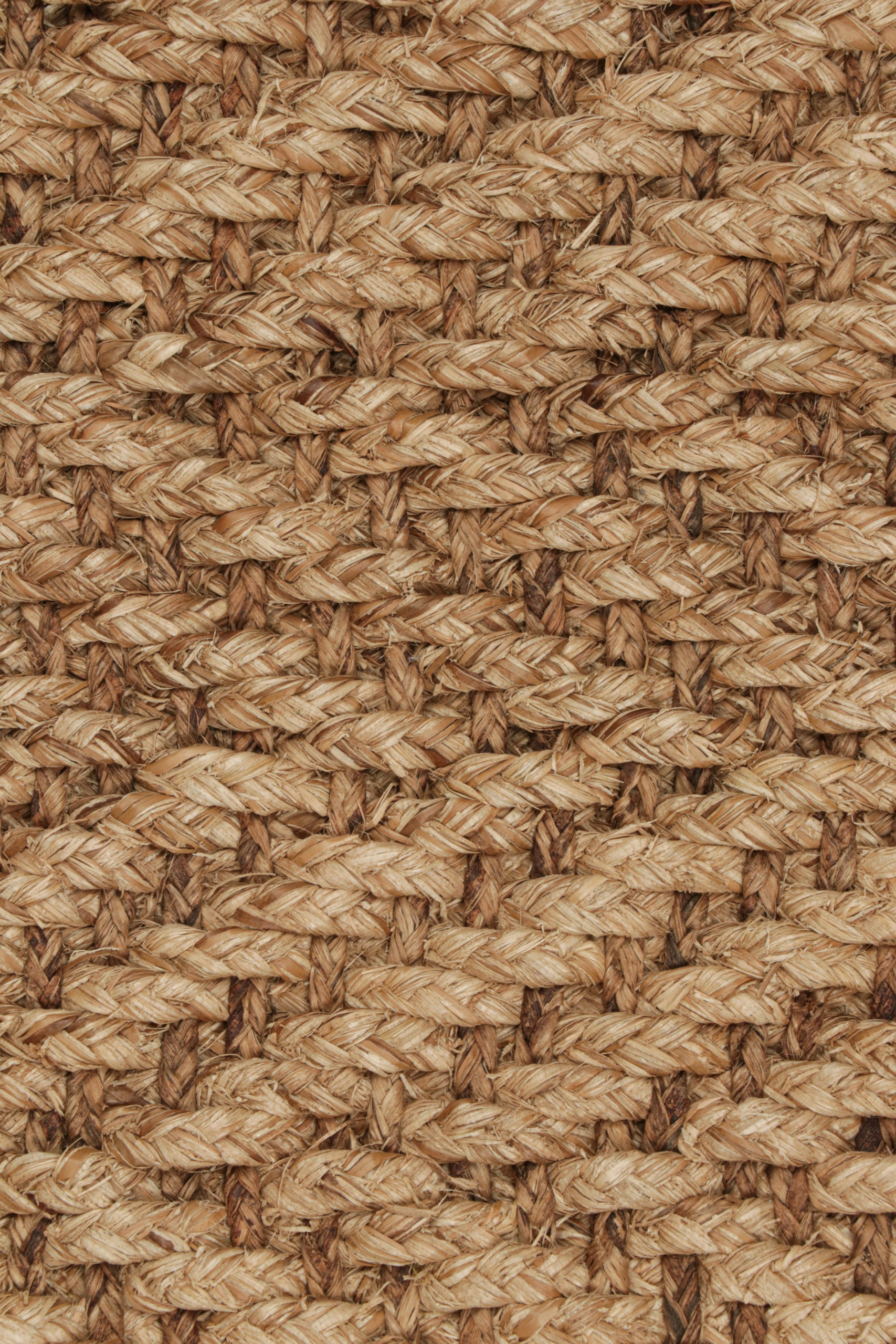 5024389 WATER REED HERING BRAID 3