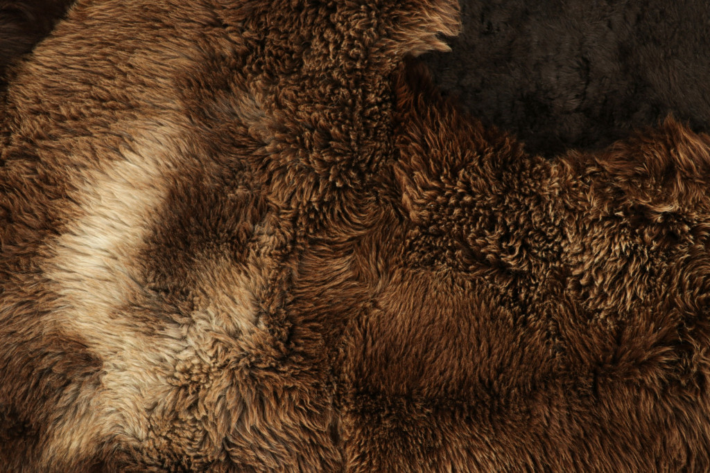 33901 5 0x6 0 3