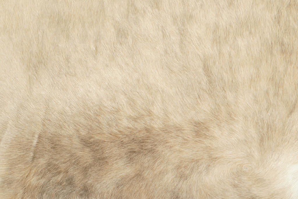33908 7 0x8 0 3