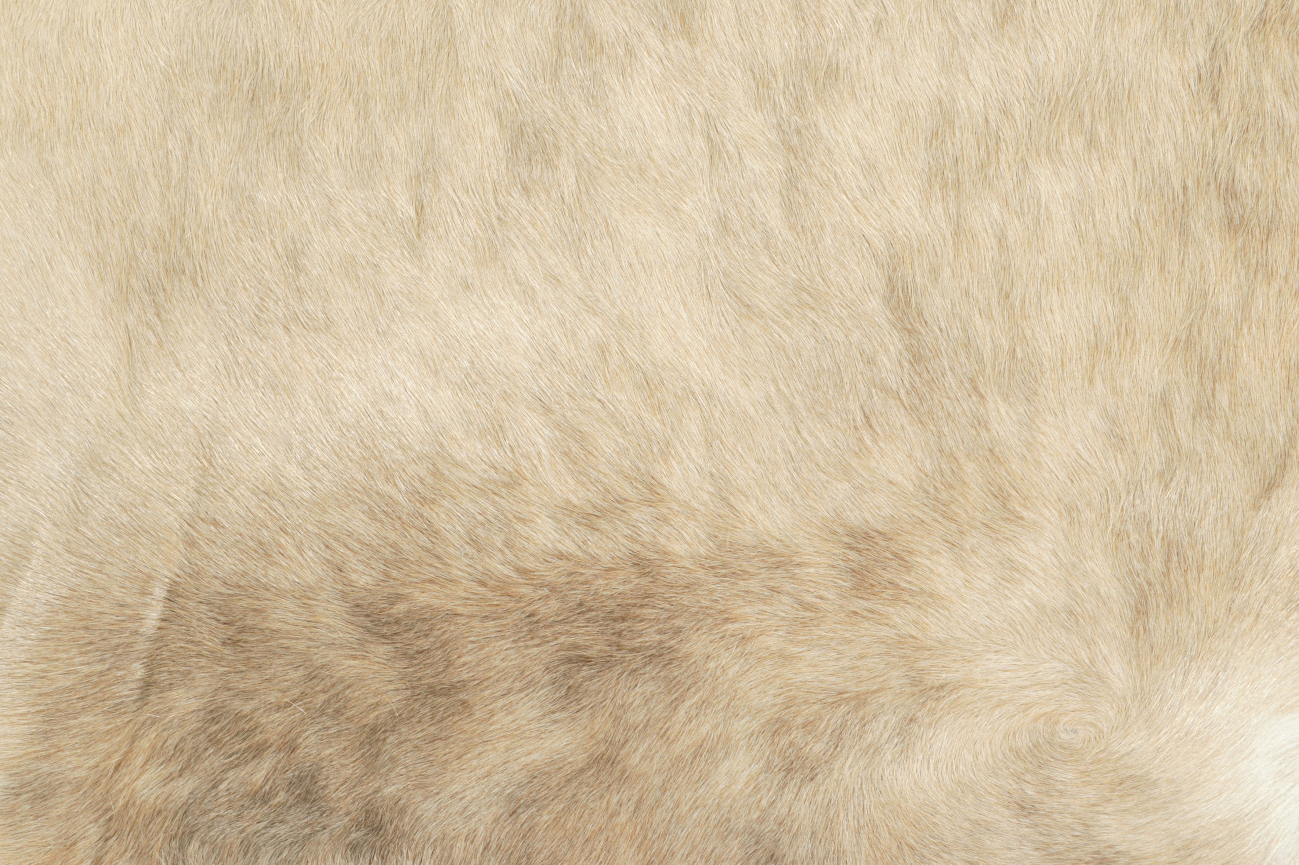 33908 7 0x8 0 3
