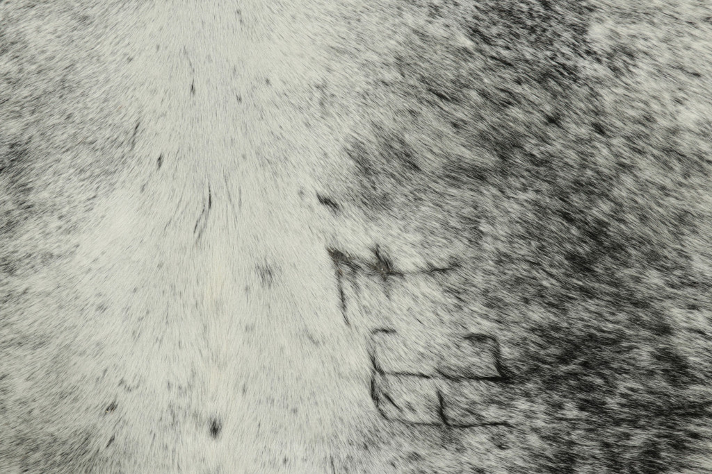 33909 7 0x8 0 3