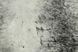 33909 7 0x8 0 3