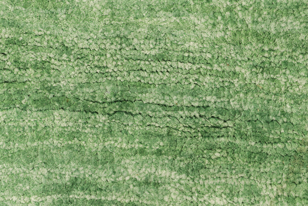 5024246 TEXTURE SOLID 3