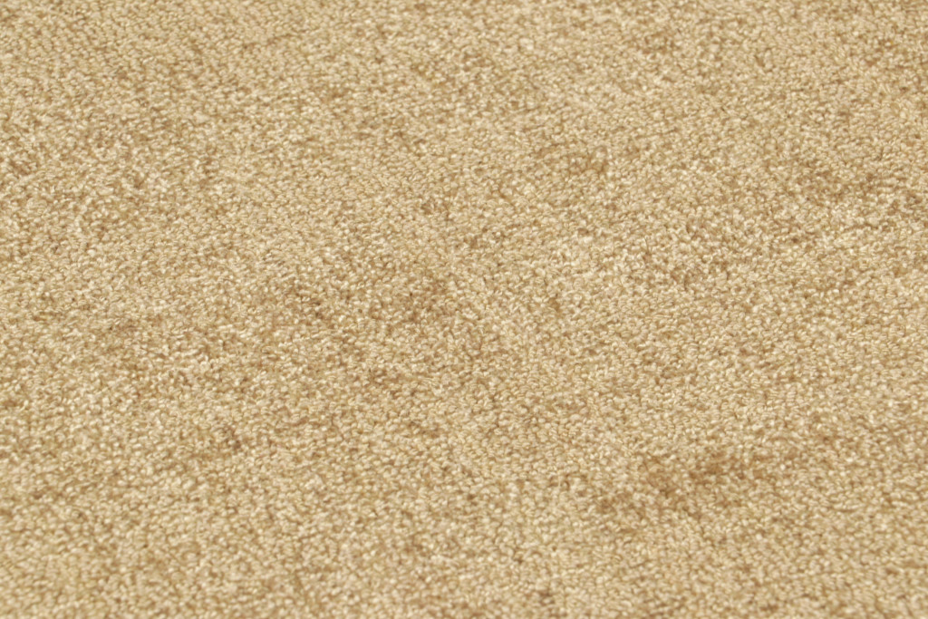 5028209 TIP SHEARED 2