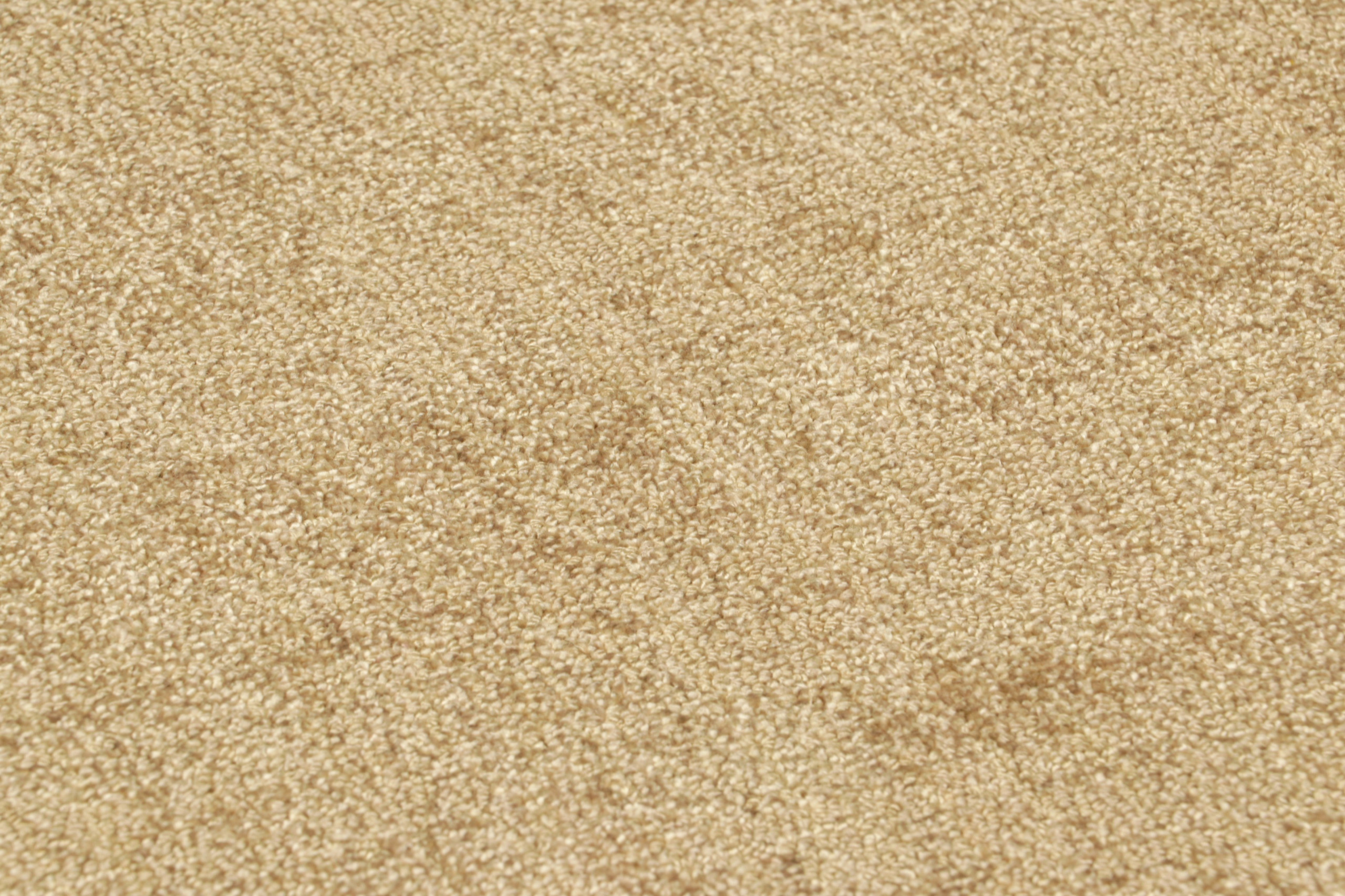 5028209 TIP SHEARED 2