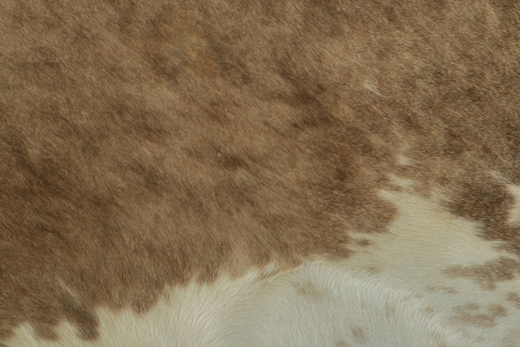 34020 7 0x8 0 3
