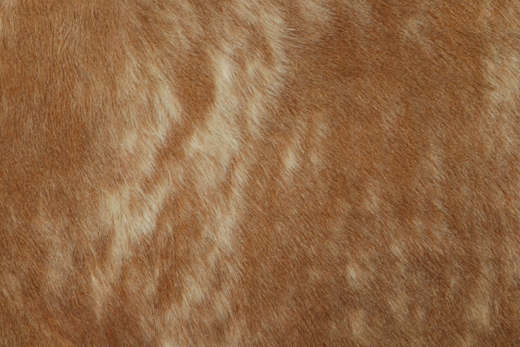 34022 7 0x8 0 3