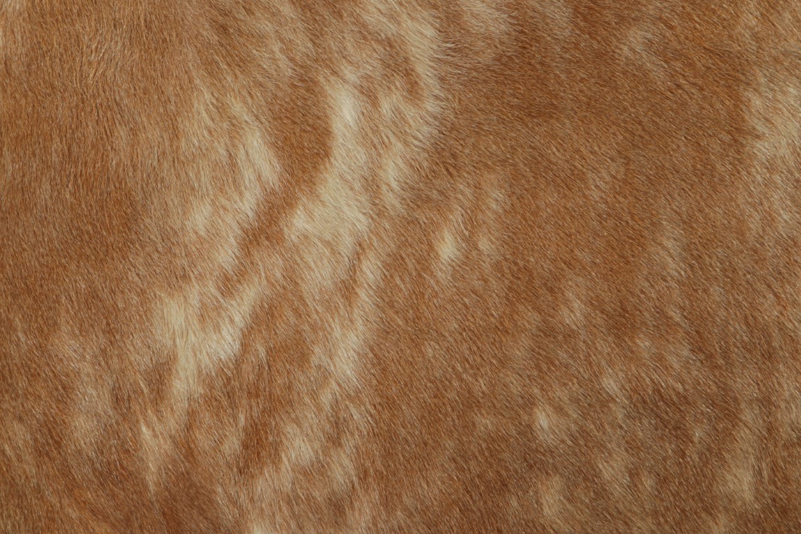 34022 7 0x8 0 3