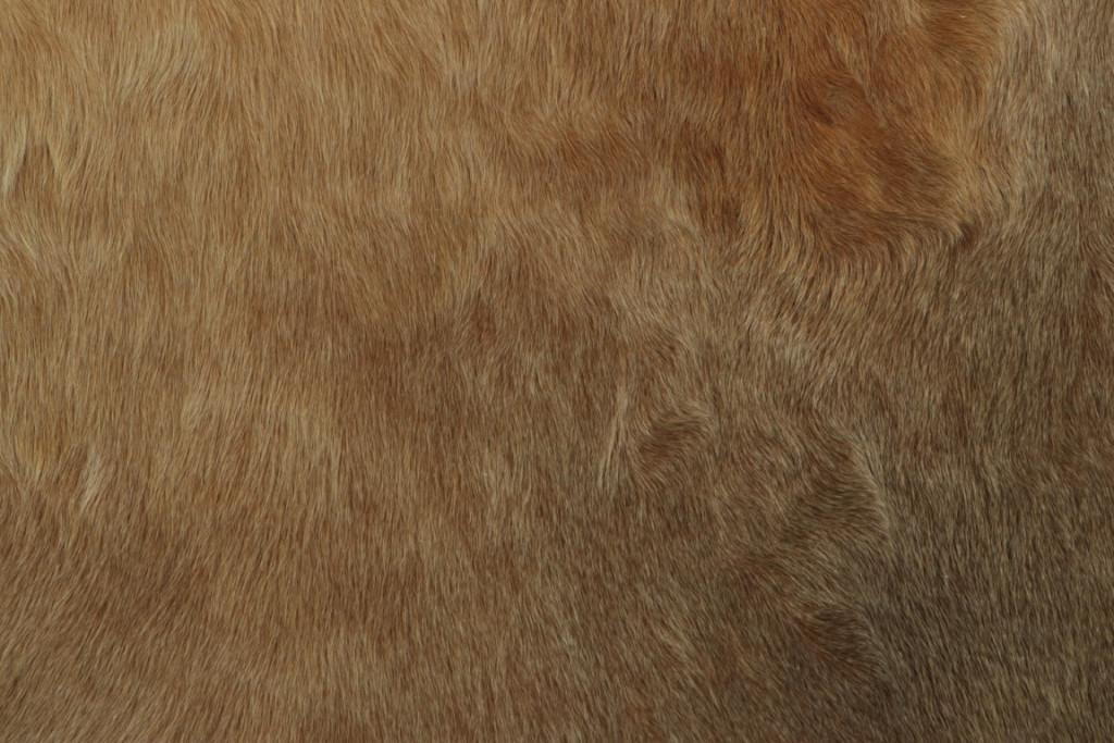 34026 7 0x8 0 3