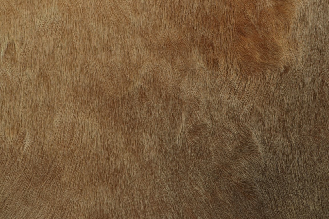 34026 7 0x8 0 3