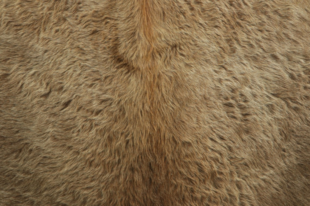 34027 7 0x8 0 3