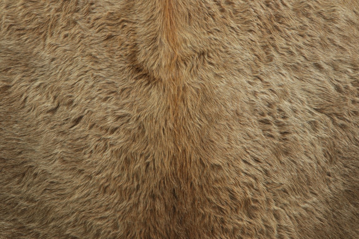 34027 7 0x8 0 3