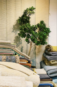 Cotton Rugs