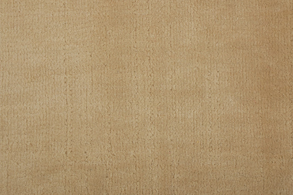 5024350 PLAIN HLDS 11 55 3