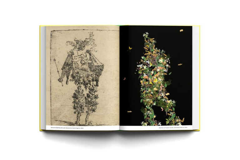 A Banquet of Wonders: Delighting in the World
