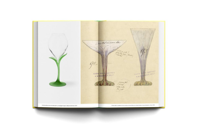 A Banquet of Wonders: Delighting in the World