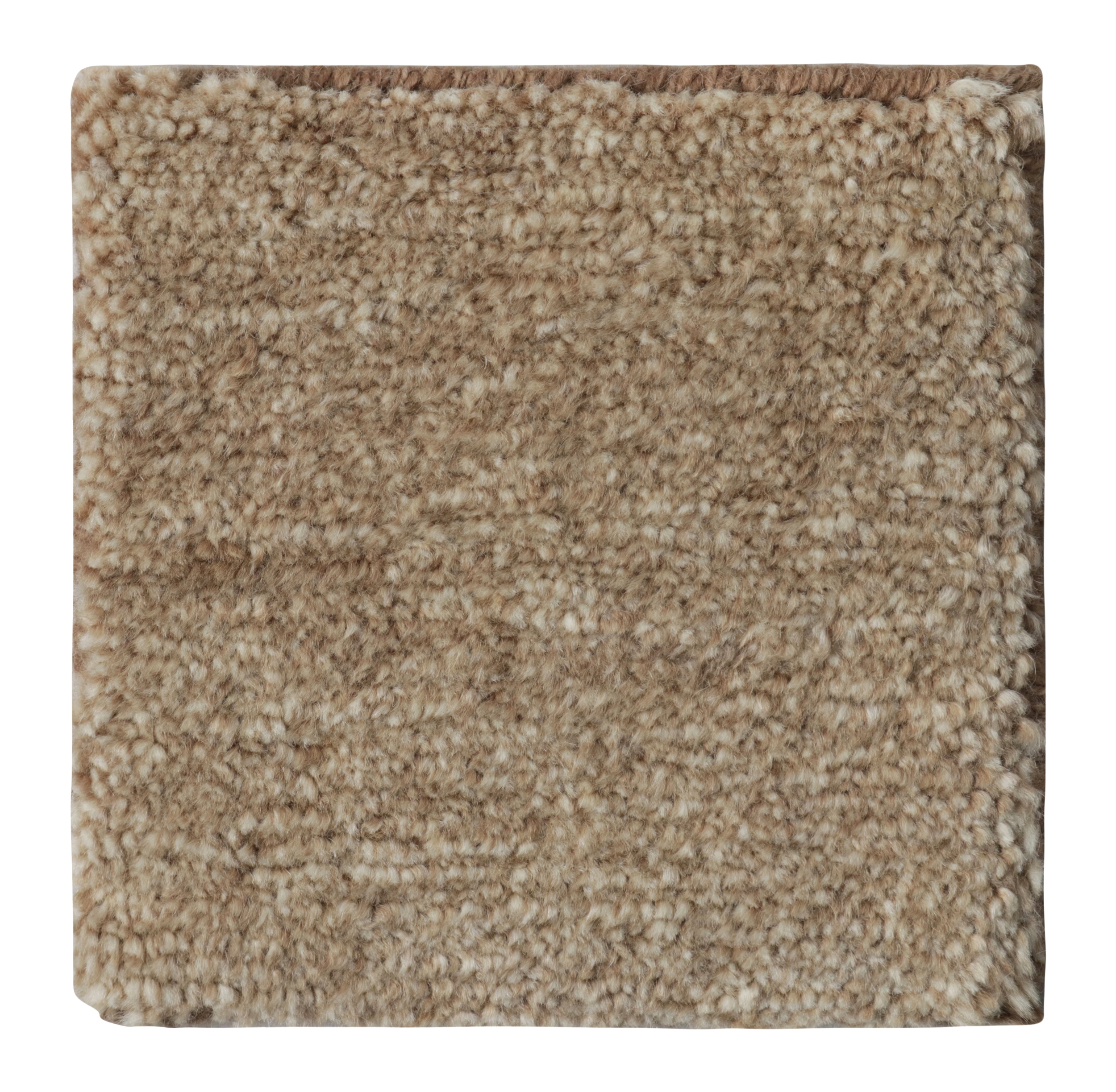 Contemporary Textural Rug Sample
