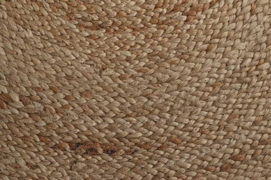 Modern Geometric Circle Rug
