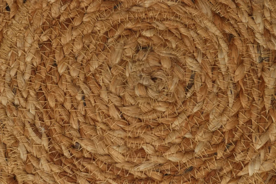 Modern Geometric Circle Rug