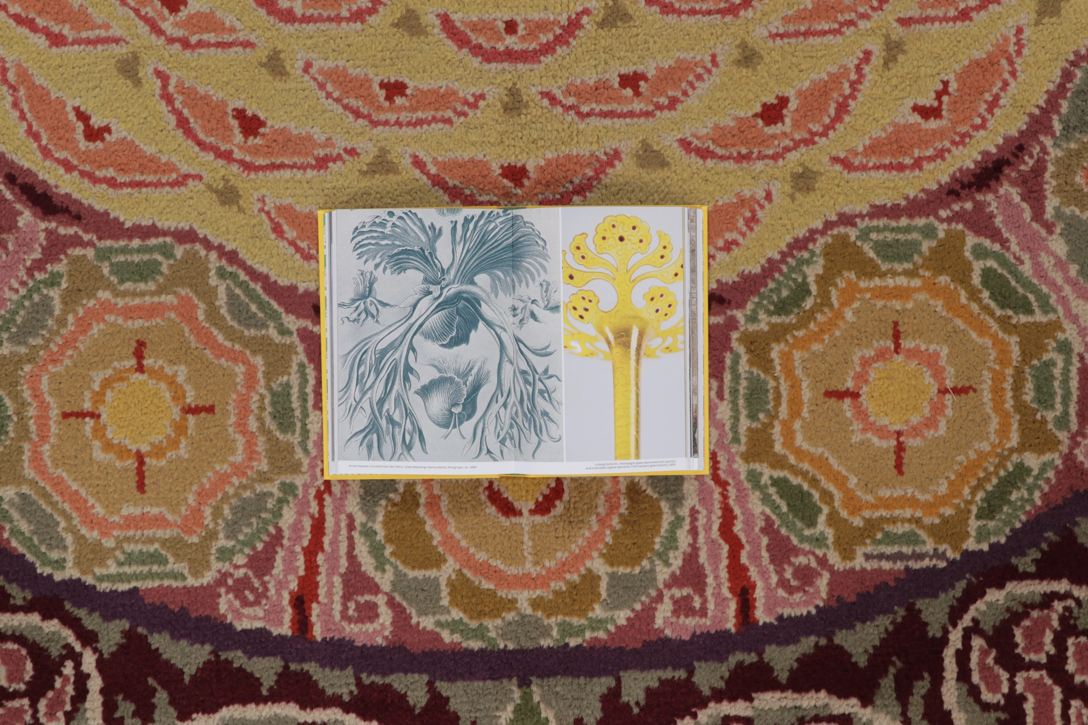 Antique Savonnerie Rug