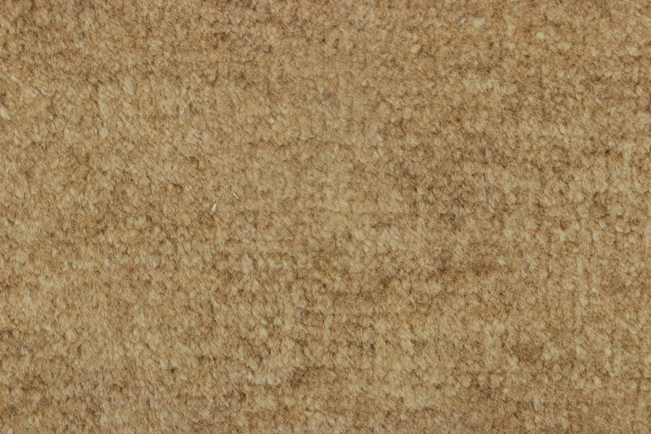 Rug & Kilim's Textural Custom Rug Sample