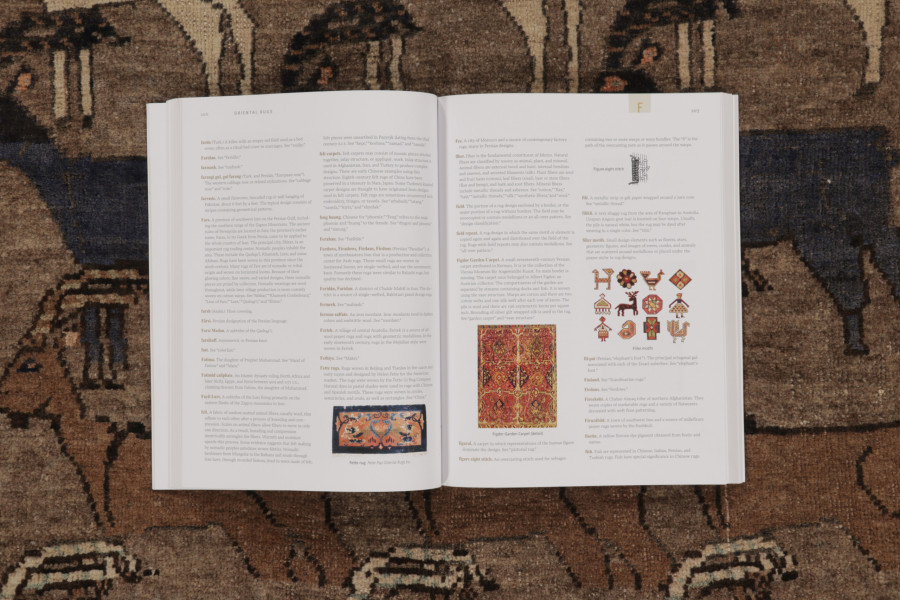 Vintage Persian Gabbeh Pictorial Runner