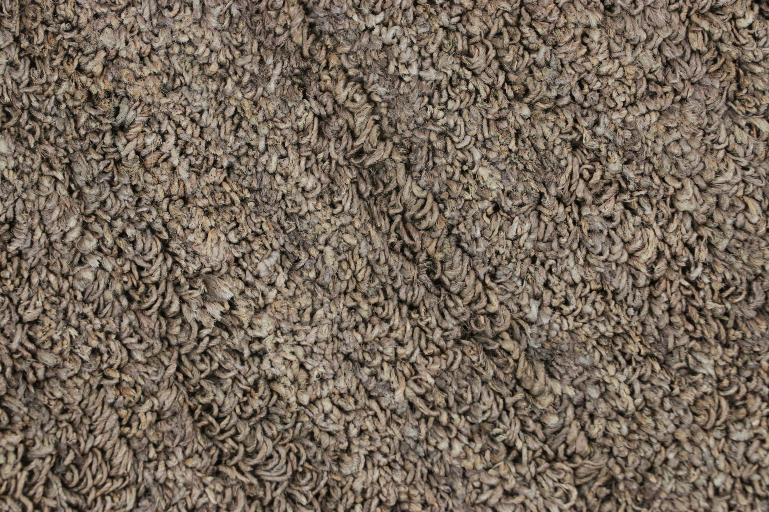 Rug & Kilim's Textural Custom Rug Sample