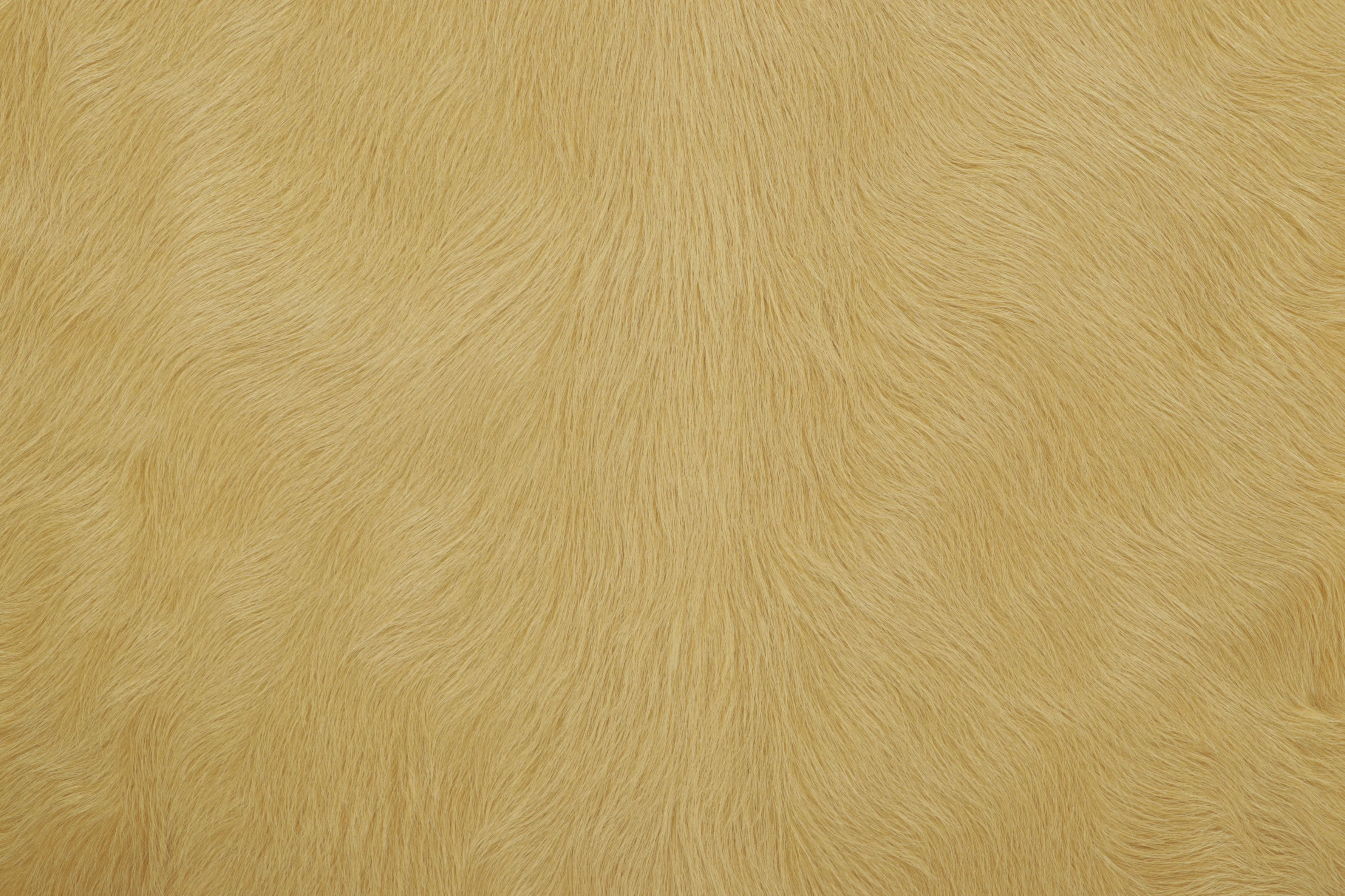 Contemporary Cowhide Solid Rug