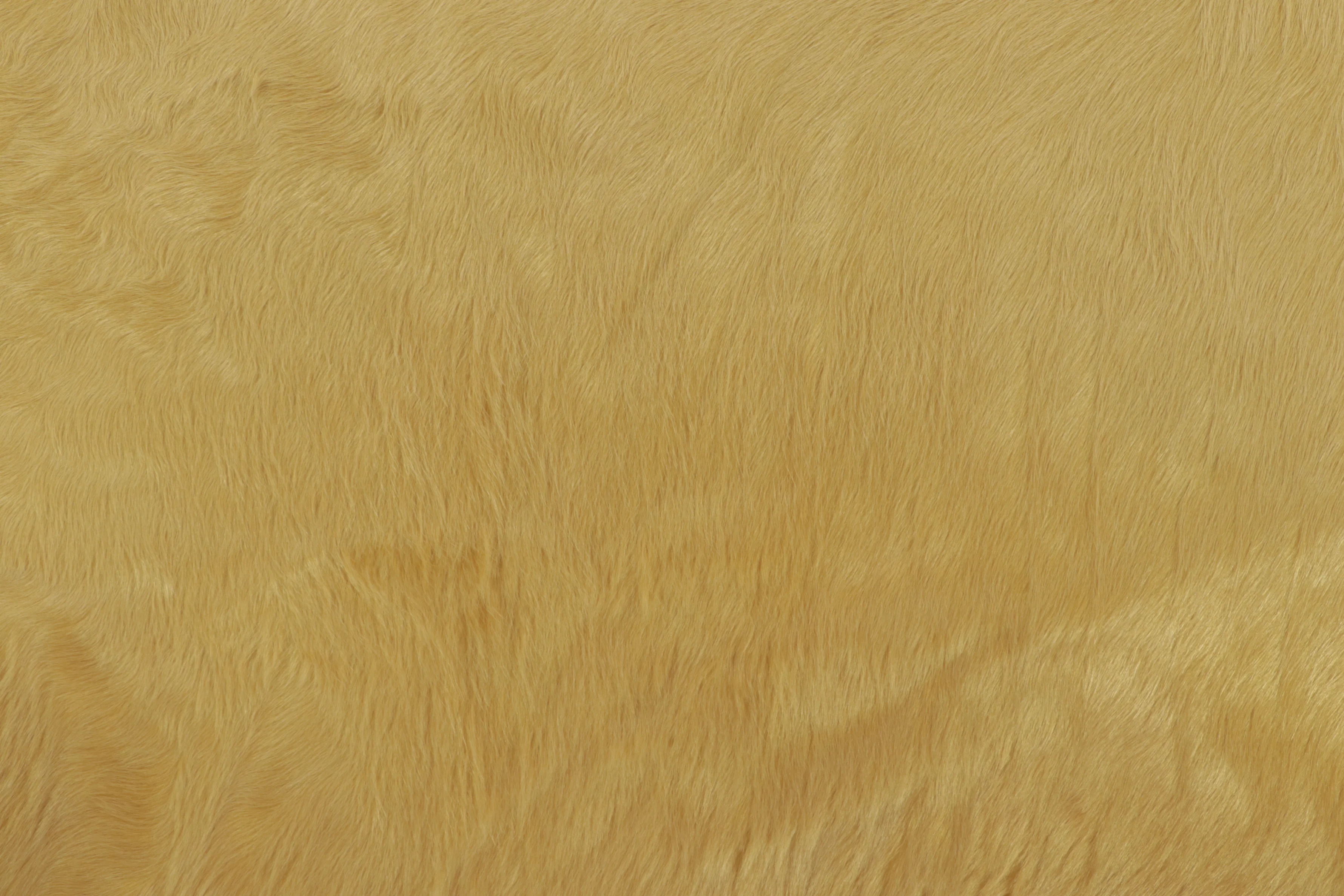 Contemporary Cowhide Solid Rug