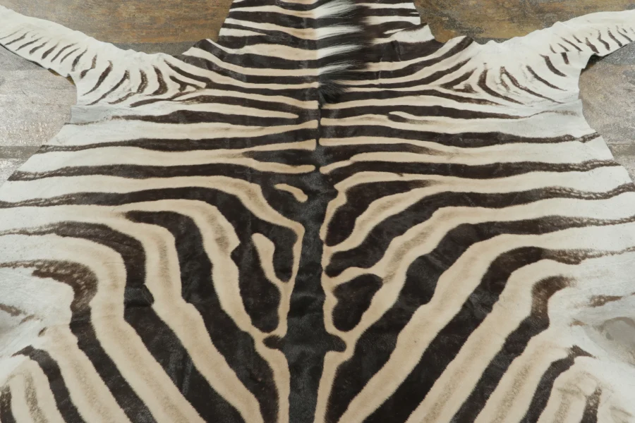 Contemporary Burchell Zebra Hide Rug