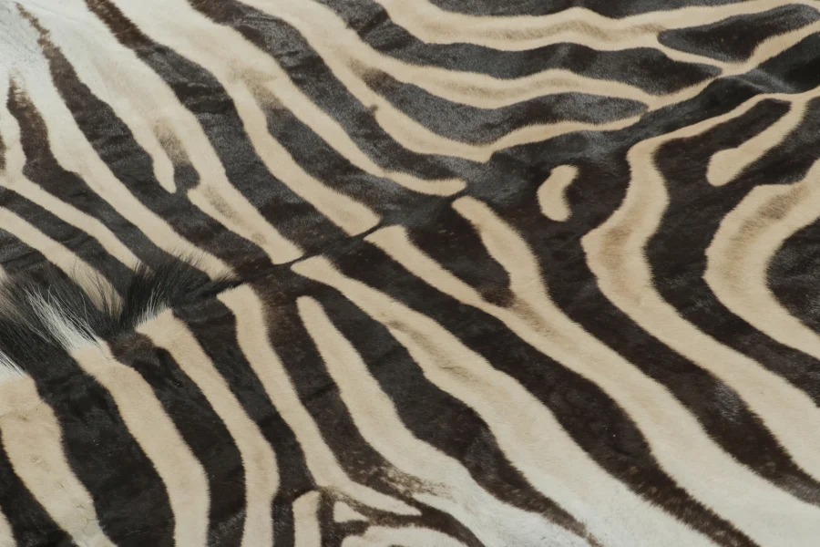 Contemporary Burchell Zebra Hide Rug
