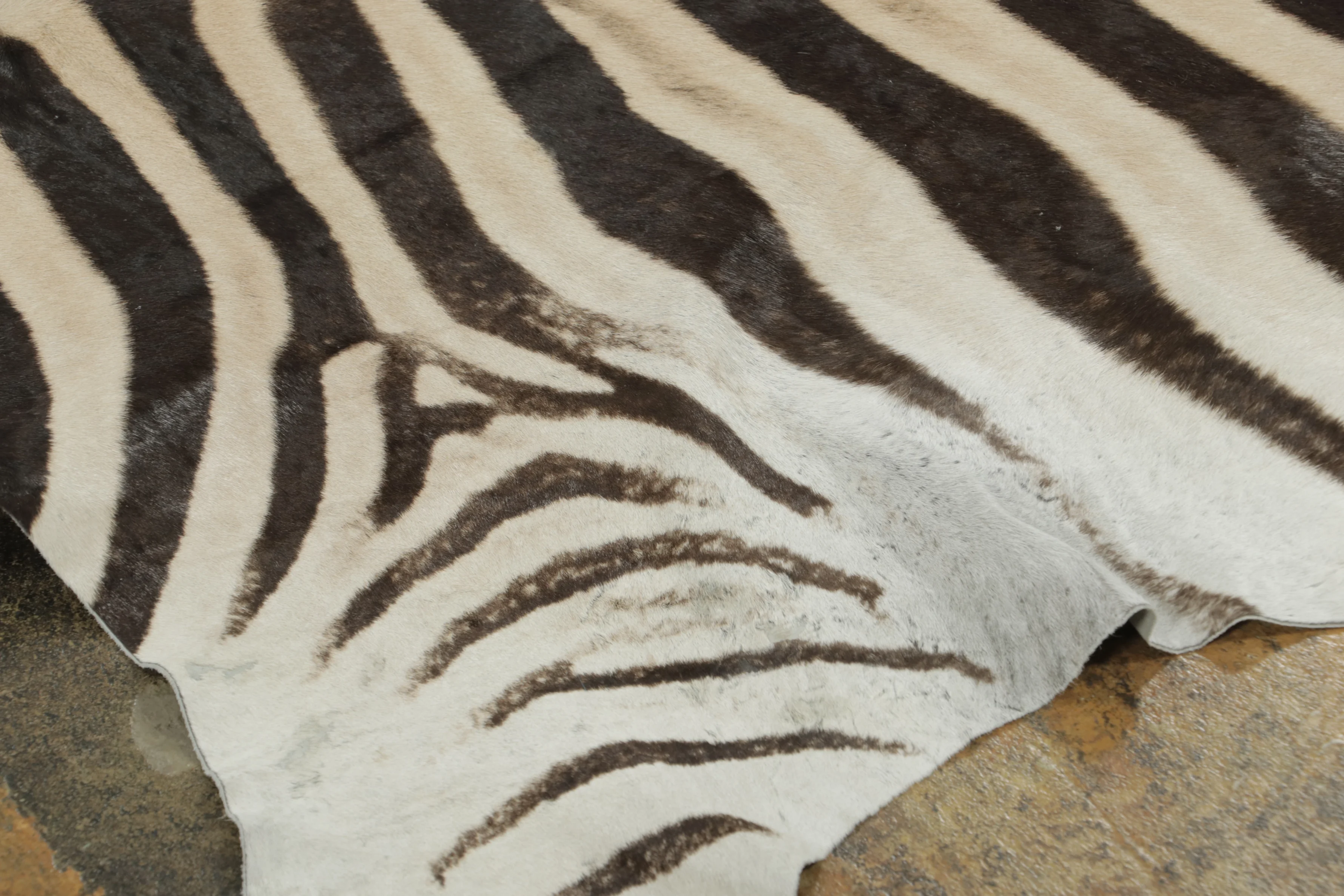 Contemporary Burchell Zebra Hide Rug