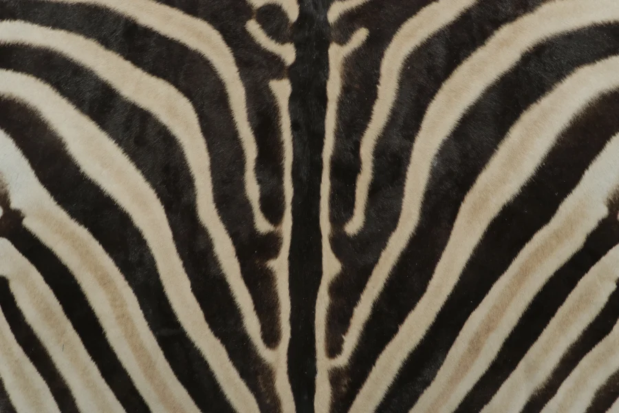 Contemporary Burchell Zebra Hide