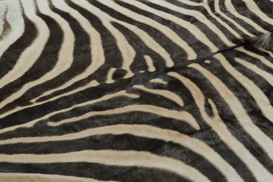Contemporary Burchell Zebra Hide