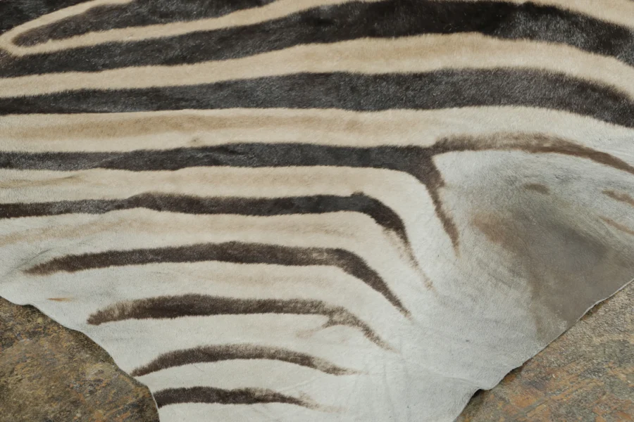 Contemporary Burchell Zebra Hide